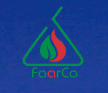 fds