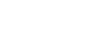 fds
