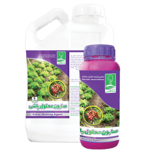 https://app.sanatyariran.com/upload/products/202505/17479879708677.png