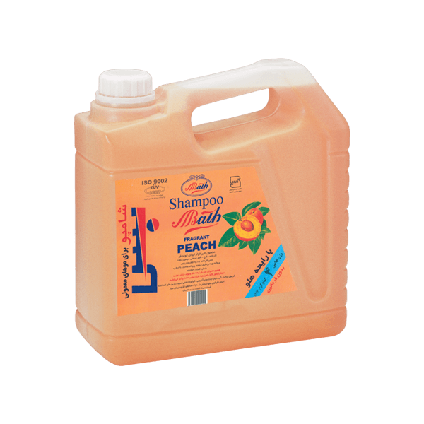 https://app.sanatyariran.com/upload/products/202505/17483302884353.png