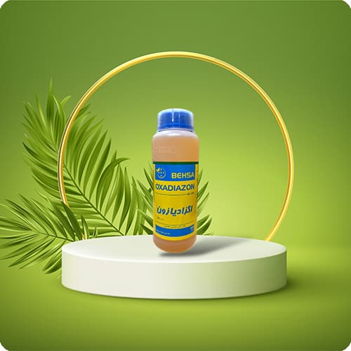 https://app.sanatyariran.com/upload/products/202506/17488104835261.jpg