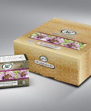 https://app.sanatyariran.com/upload/products/202506/17492071082862.jpg