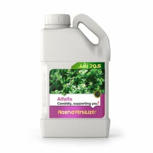https://app.sanatyariran.com/upload/products/202506/17496865542896.jpg