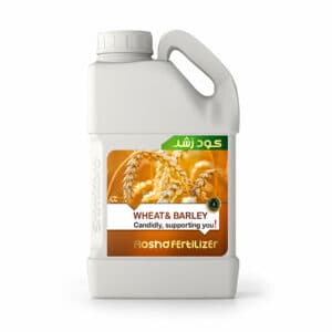 https://app.sanatyariran.com/upload/products/202506/17496865639251.jpg