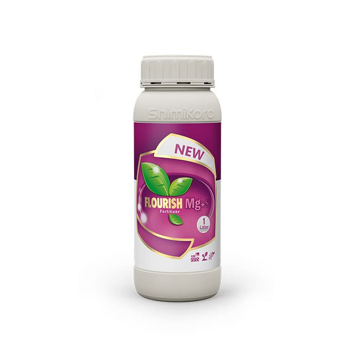 https://app.sanatyariran.com/upload/products/202506/17496867854249.jpg