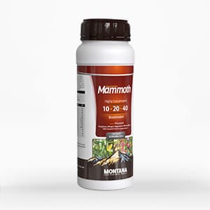 https://app.sanatyariran.com/upload/products/202508/17549823552680.jpg