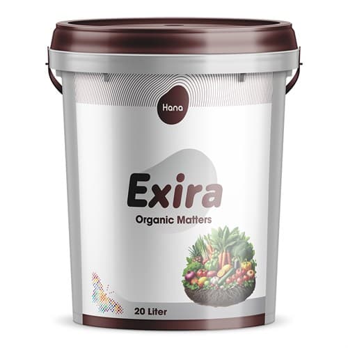 https://app.sanatyariran.com/upload/products/202509/17583610374414.jpg