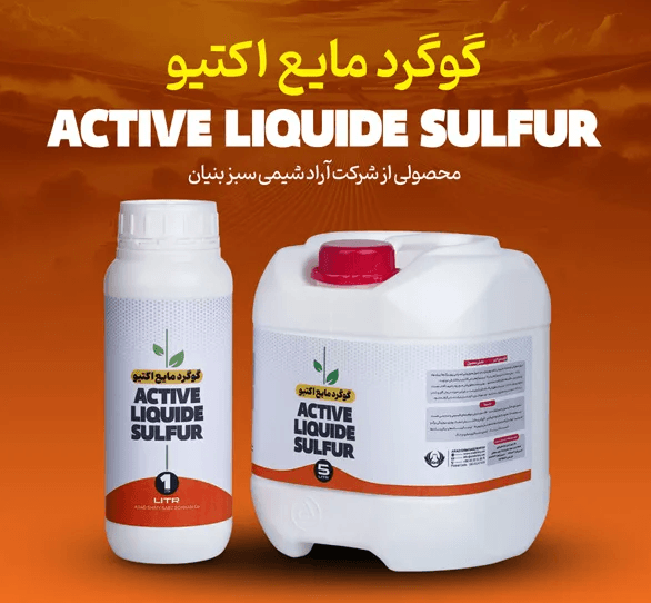 https://app.sanatyariran.com/upload/products/202509/17589555916087.PNG