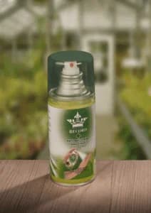 https://app.sanatyariran.com/upload/products/202510/17595602293093.webp